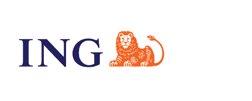 ing.ro