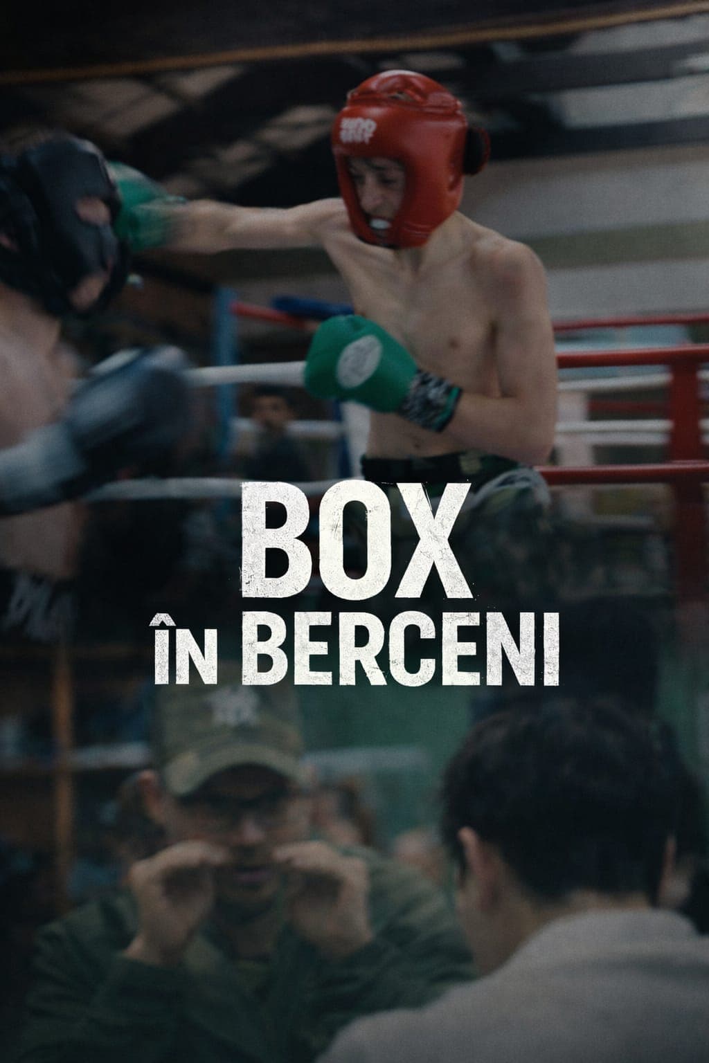 Box in Berceni