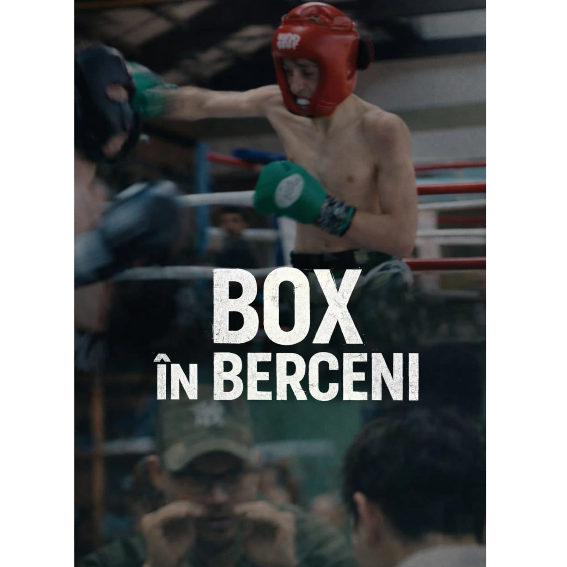 BOX IN BERCENI