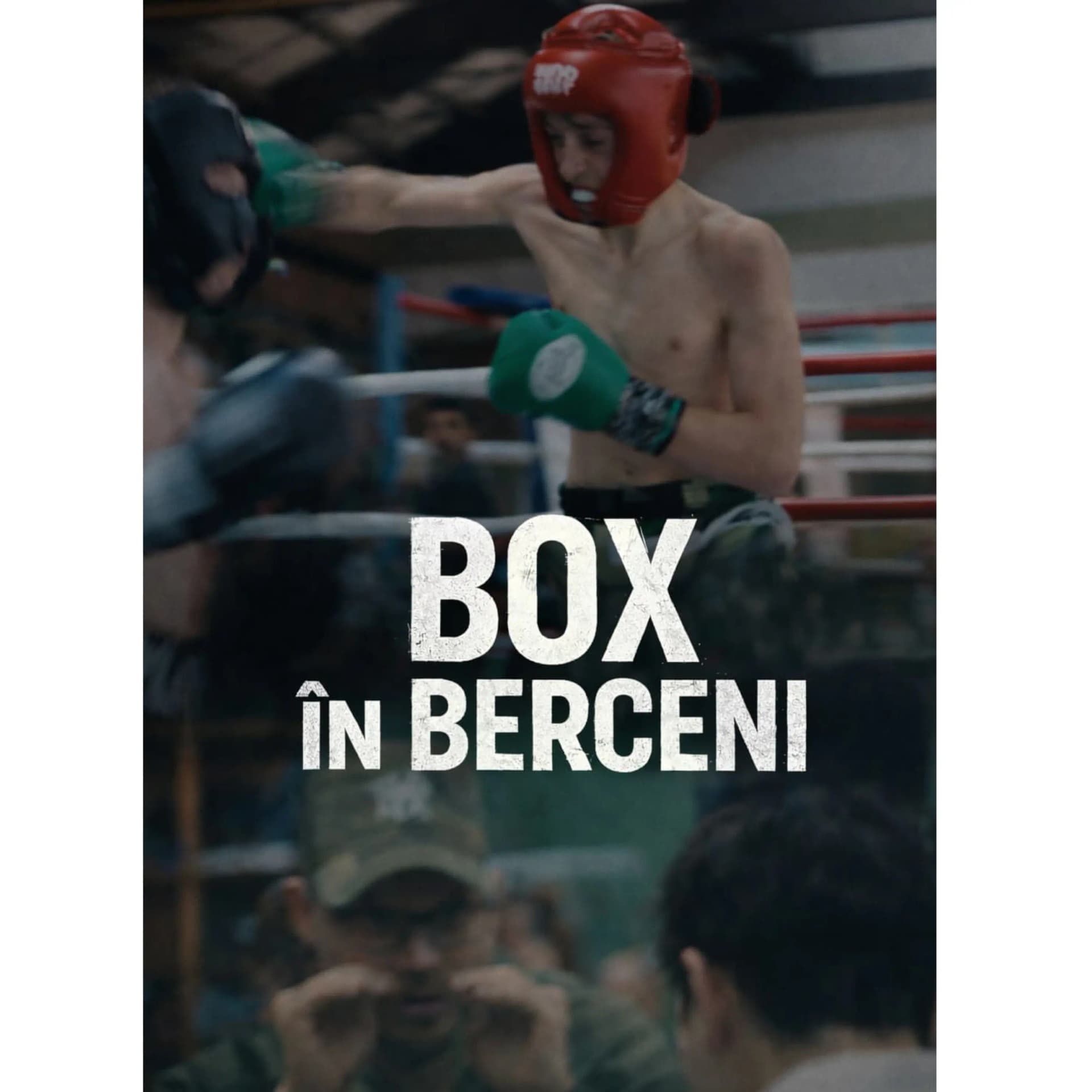 BOX ÎN BERCENI