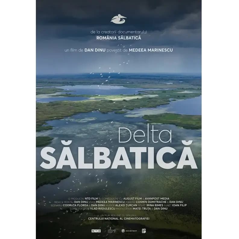 DELTA SĂLBATICĂ